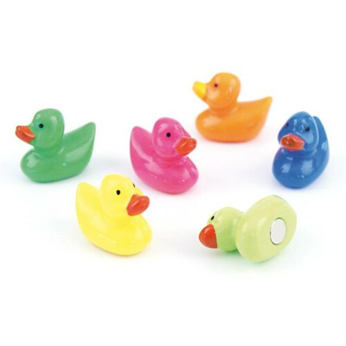 Magnete DUCK 6er Set assortiert