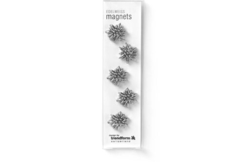 Magnet Edelweiss 5er Set silber