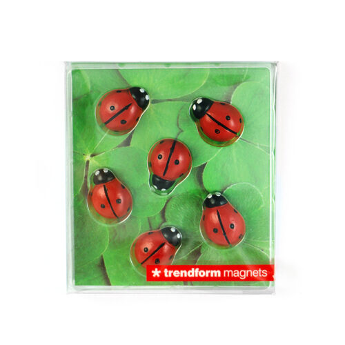 Magnete Lady Bug 6er Set