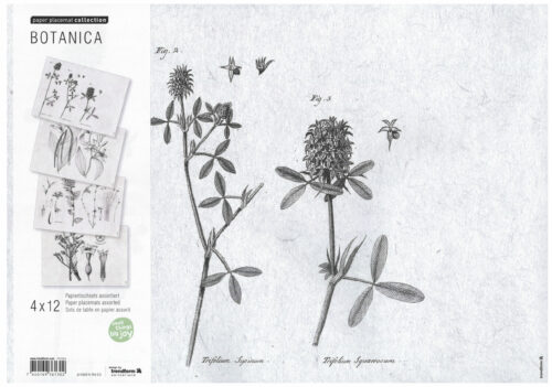 Papiertischset Botanica