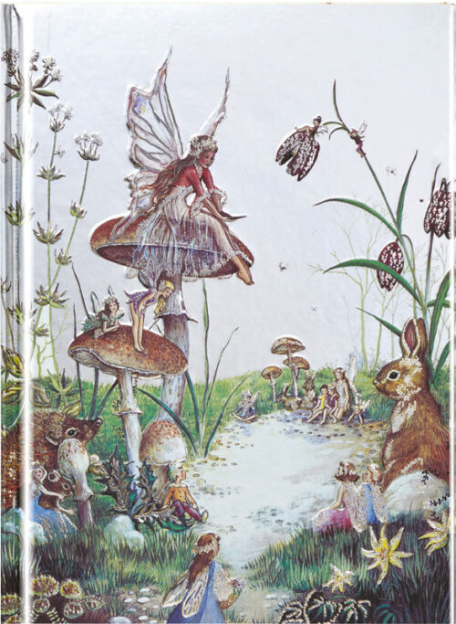 Notizbuch Fairy Story A6