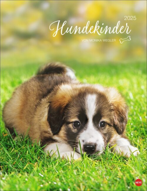 Hundekinder 2025