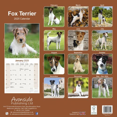 Fox Terrier 16-Monatskalender – Bild 2