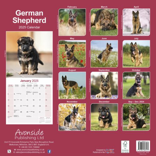 German Shepherd 16-Monatskalender – Bild 2