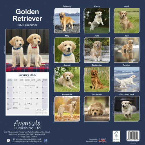 Golden Retriever 16-Monatskalender – Bild 2