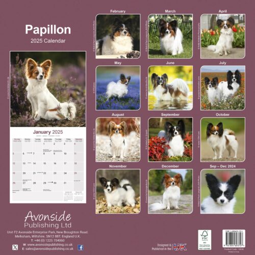 Papillon 16-Monatskalender – Bild 2