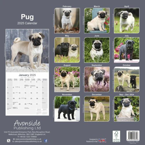 Pug 16-Monatskalender – Bild 2