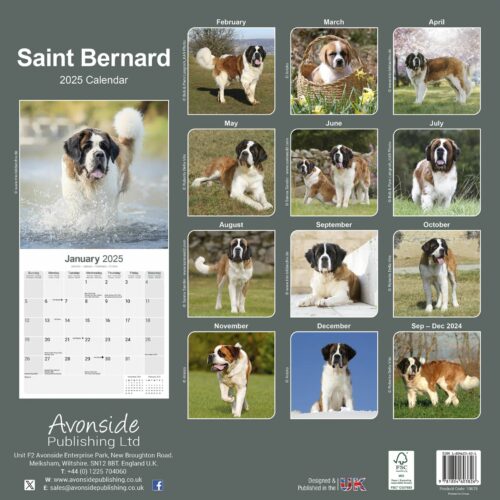 Saint Bernard 16-Monatskalender – Bild 2