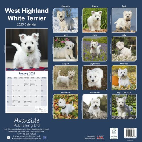 West Highland White 16-Monatskalender – Bild 2