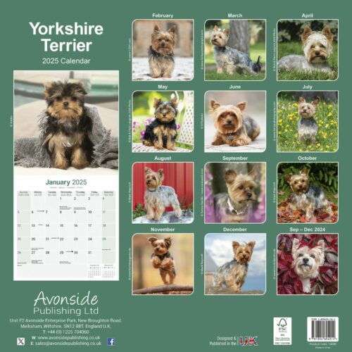 Yorkshire Terrier 16-Monatskalender – Bild 2