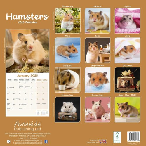 Hamster 16-Monatskalender – Bild 2