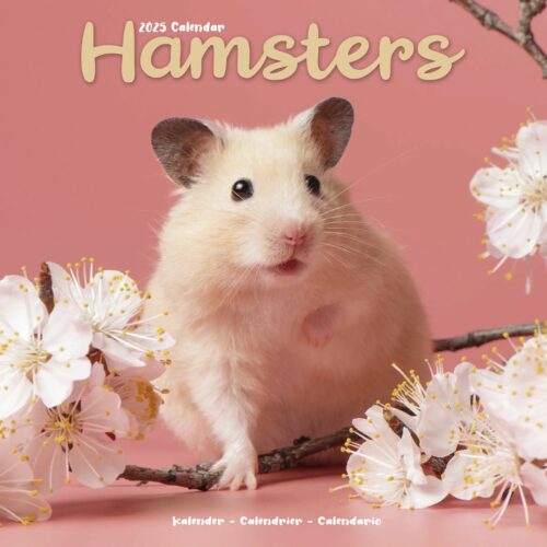 Hamster 16-Monatskalender