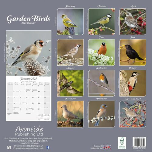 Garden Birds 16-Monatskalender – Bild 2