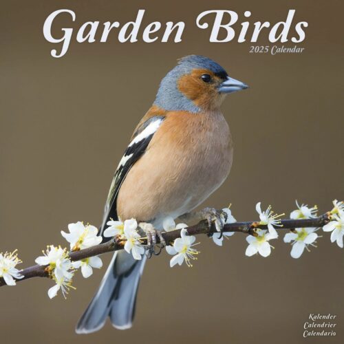 Garden Birds 16-Monatskalender