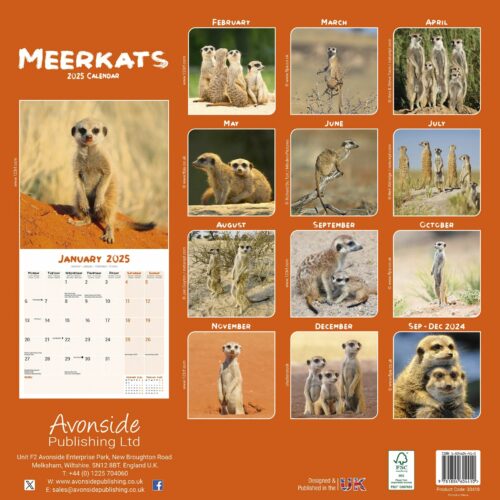 Meerkats 16-Monatskalender – Bild 2