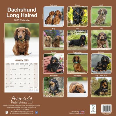 Dachshund 16-Monatskalender – Bild 2