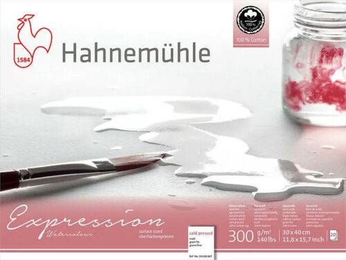 HAHNEMÜHLE Expession 24x30